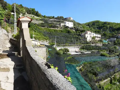 Sentiero dei Limoni